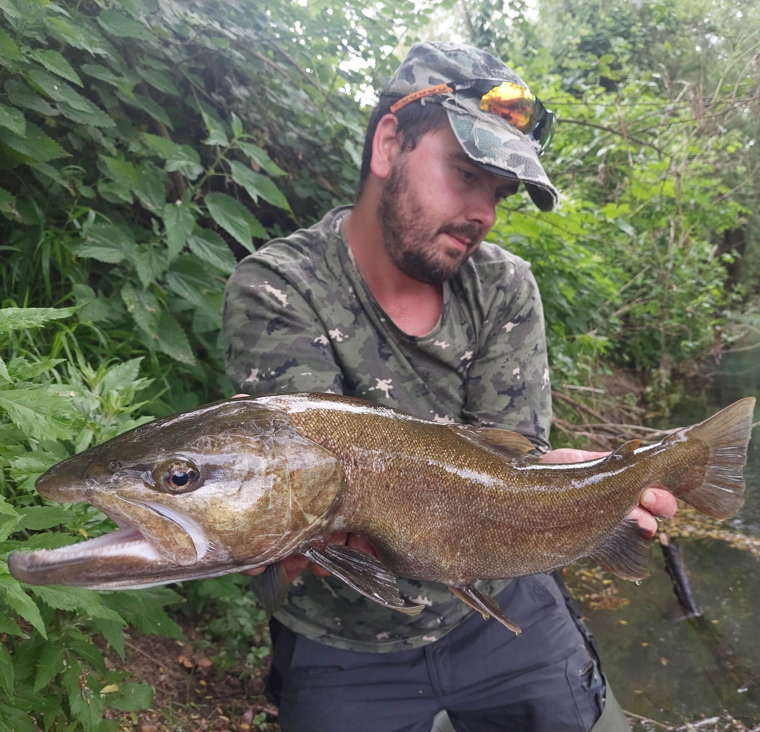 Alessandro Olban with a Perch